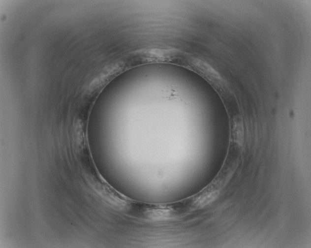 X0000078840318200611201320