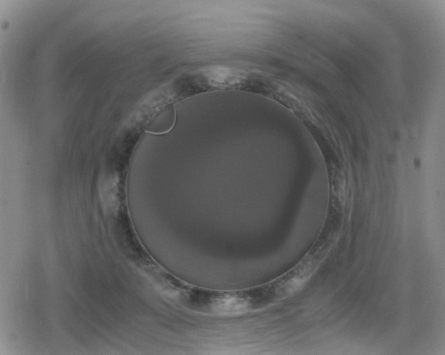 X0000078840319200611201320