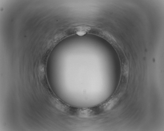 X0000078840321200611201320