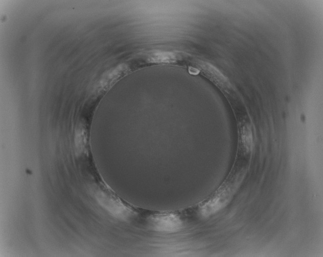 X0000078840322200611201320