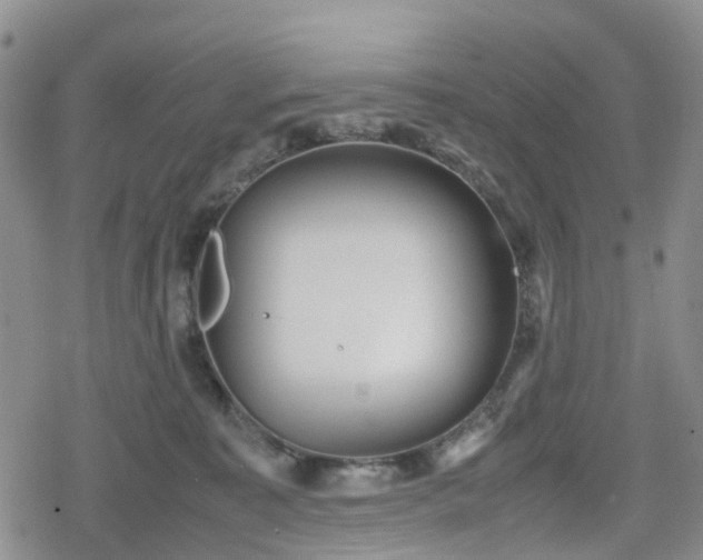 X0000078840323200611201320