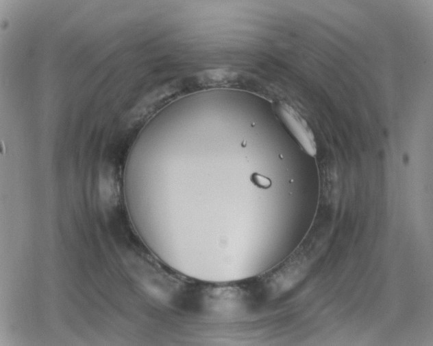 X0000078840324200611201320