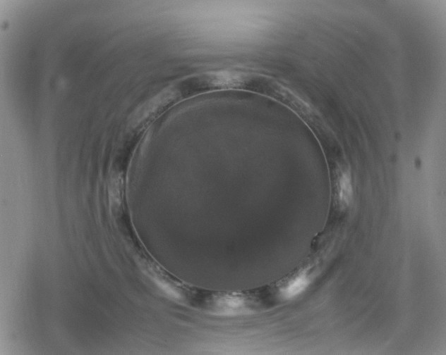 X0000078840325200611201320