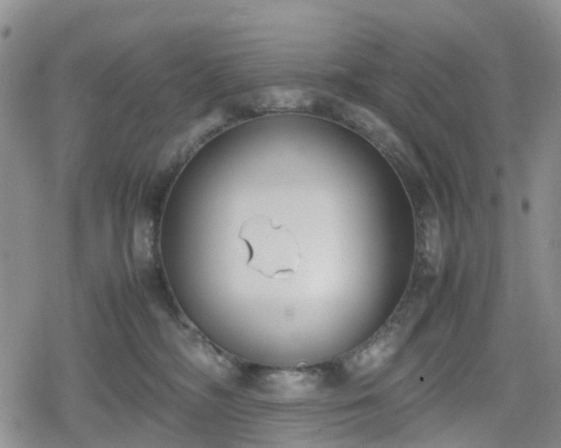 X0000078840326200611201320