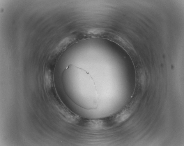 X0000078840328200611201320