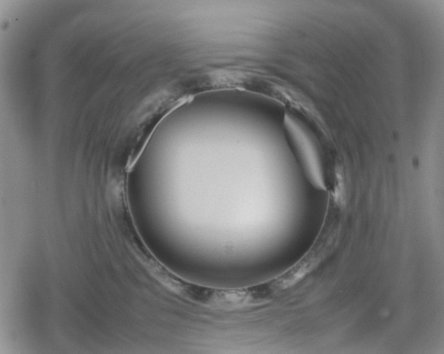 X0000078840329200611201319