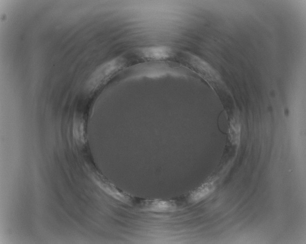 X0000078840330200611201319