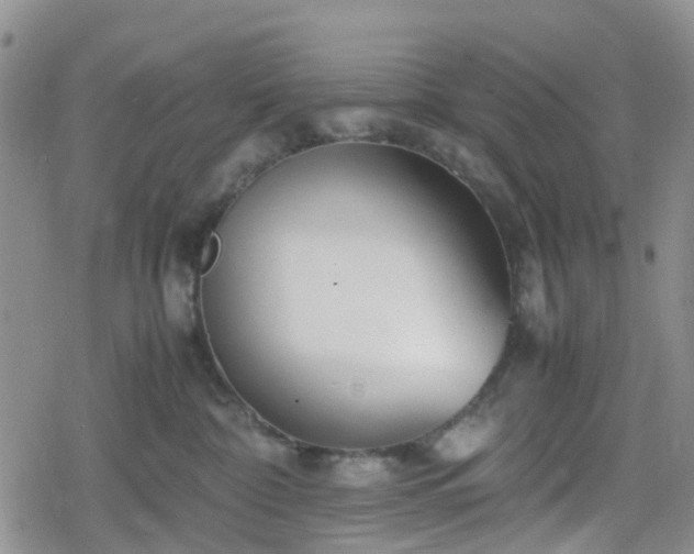 X0000078840332200611201319