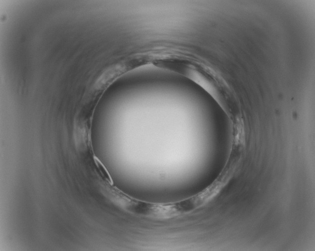 X0000078840333200611201319