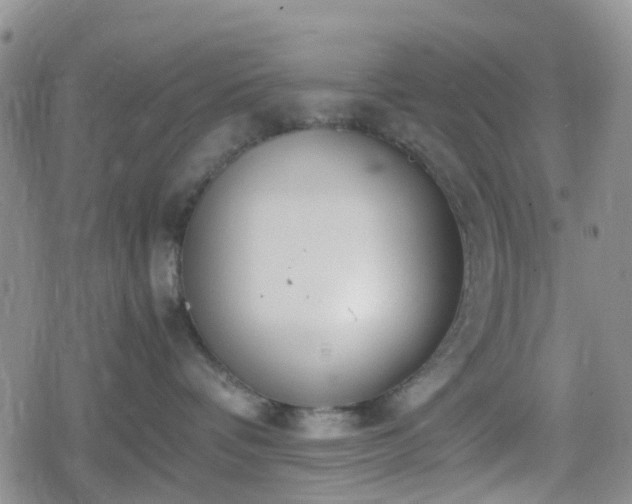 X0000078840336200611201319