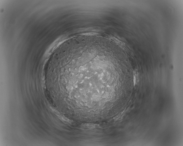 X0000078840339200611201319