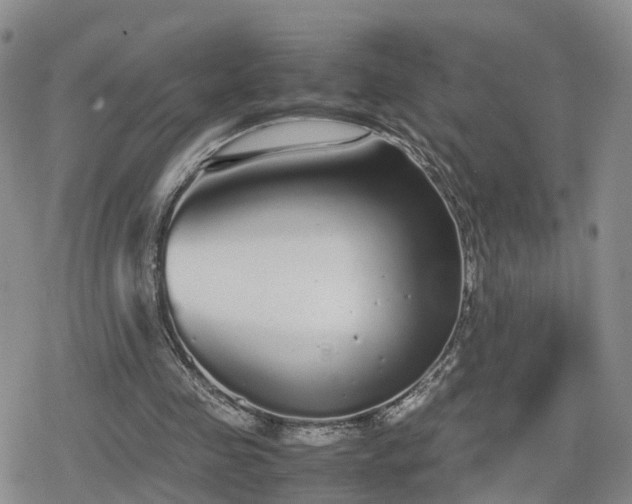 X0000078840341200611201319