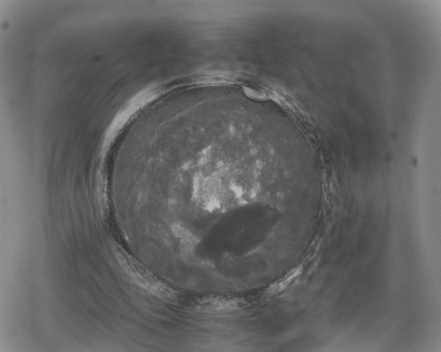 X0000078840343200611201319