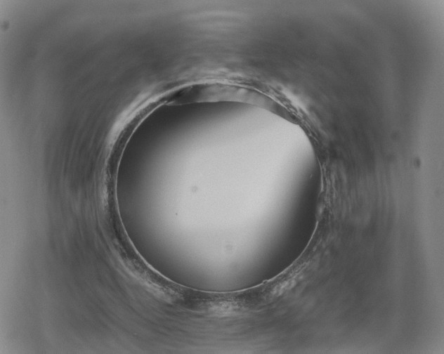 X0000078840344200611201319