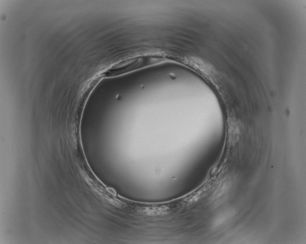 X0000078840345200611201319