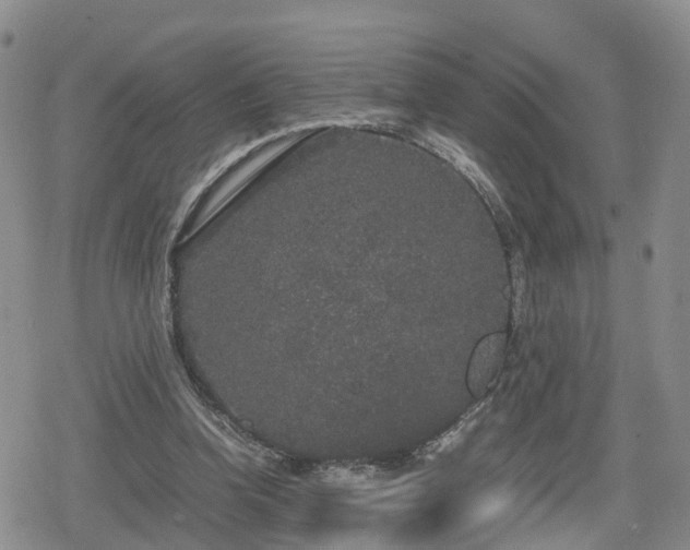 X0000078840346200611201319