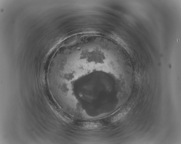 X0000078840347200611201319