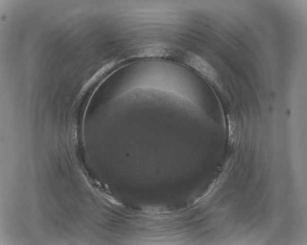 X0000078840348200611201319