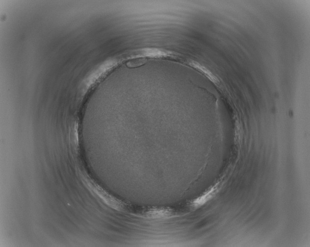 X0000078840350200611201319