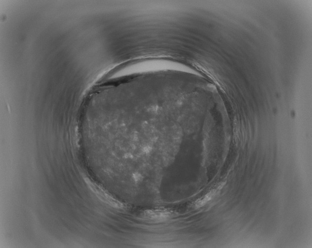 X0000078840351200611201319