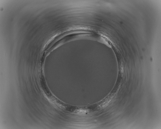 X0000078840352200611201319