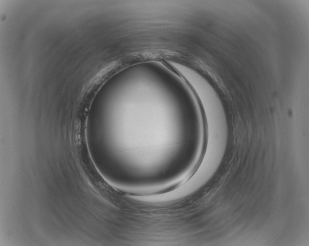 X0000078840356200611201319