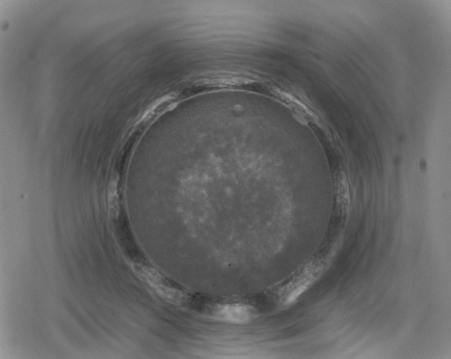 X0000078840360200611201319