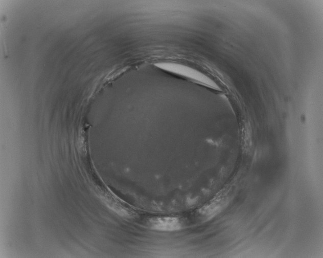 X0000078840361200611201319