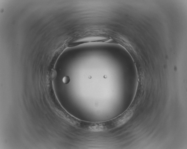 X0000078840362200611201319