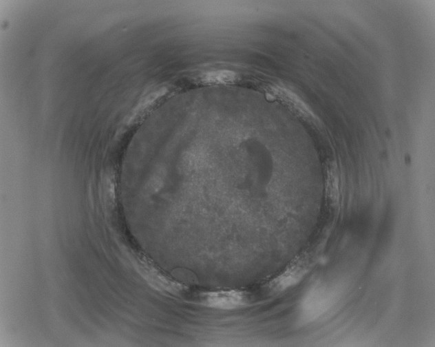 X0000078840363200611201319