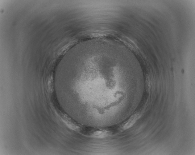 X0000078840364200611201319