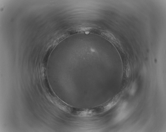 X0000078840366200611201319