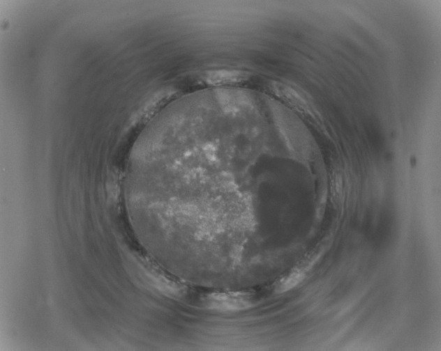 X0000078840367200611201319