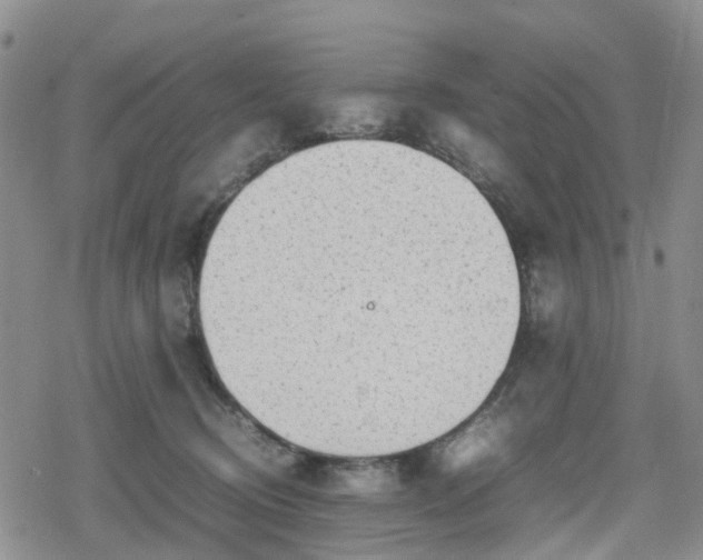 X0000078840370200611201319