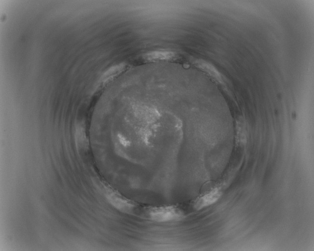 X0000078840377200611201319