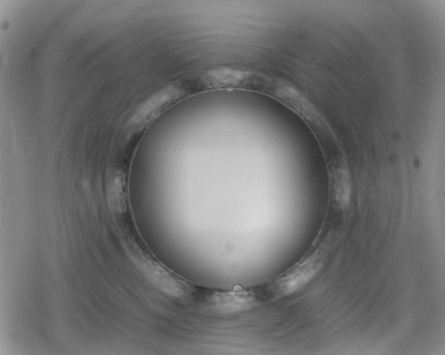 X0000078840378200611201319