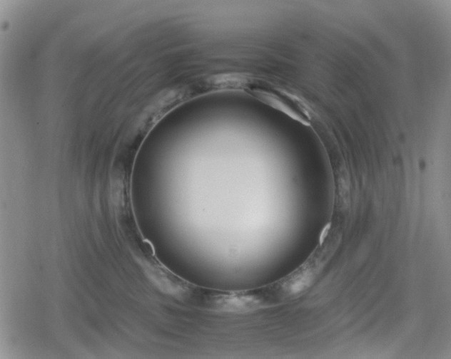 X0000078840379200611201319