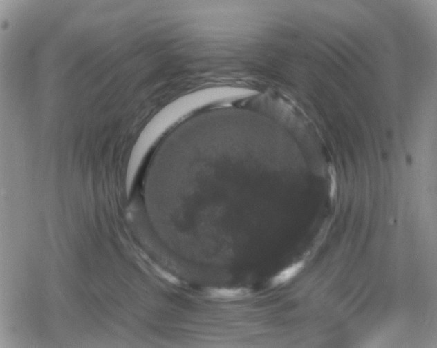 X0000078840380200611201319