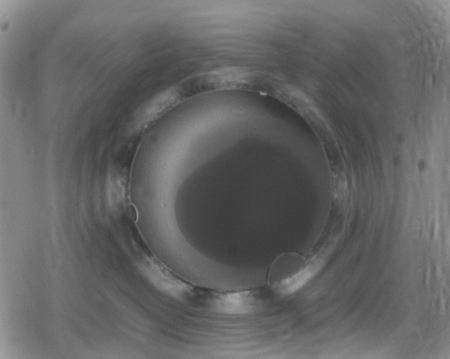 X0000078840382200611201319