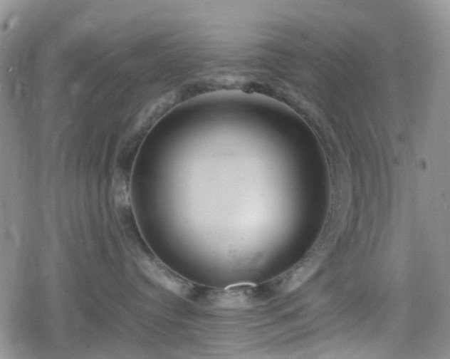 X0000078840384200611201319