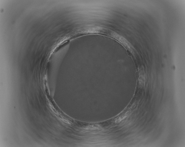 X0000078840386200611201319