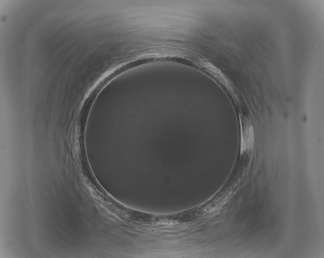 X0000078840387200611201319