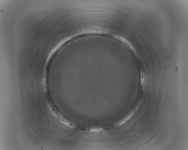 X0000078840388200611201319