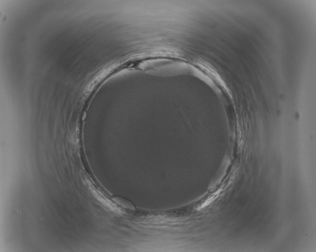 X0000078840389200611201319