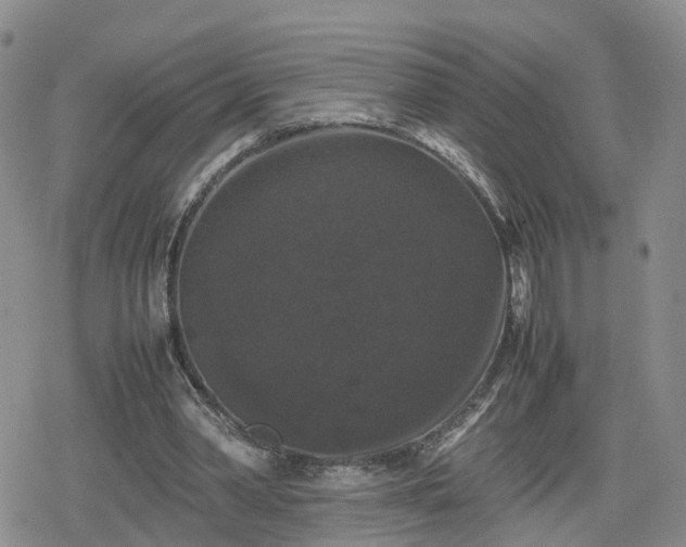 X0000078840390200611201318