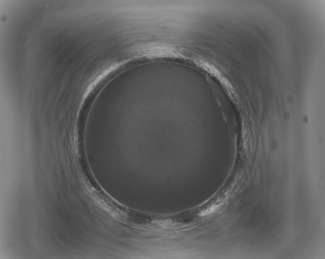 X0000078840391200611201318