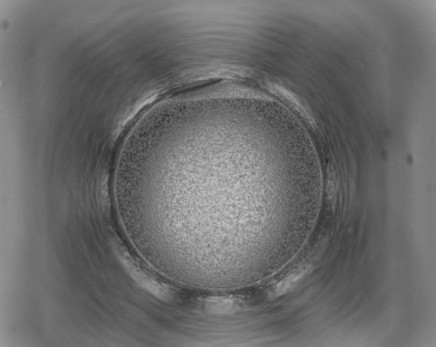 X0000078840394200611201318