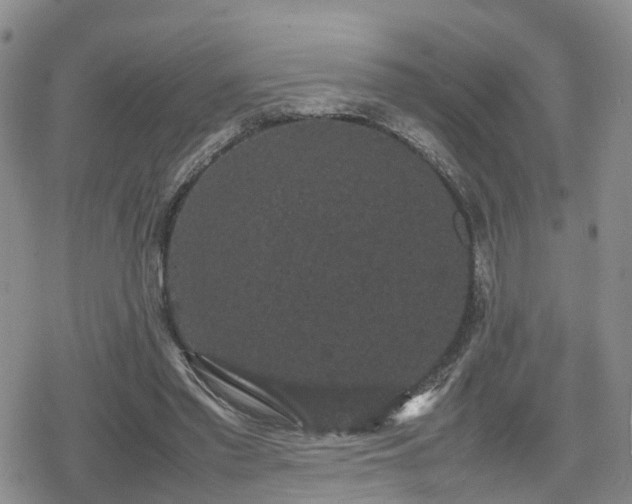 X0000078840397200611201318