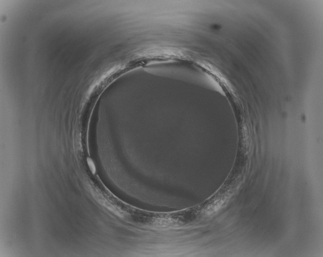 X0000078840399200611201318