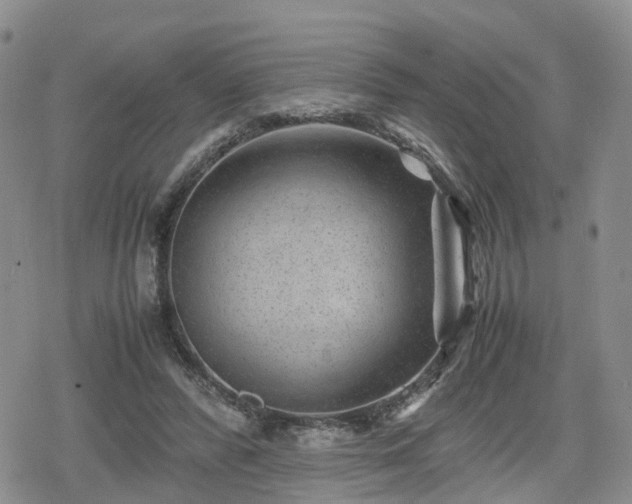 X0000078840400200611201318